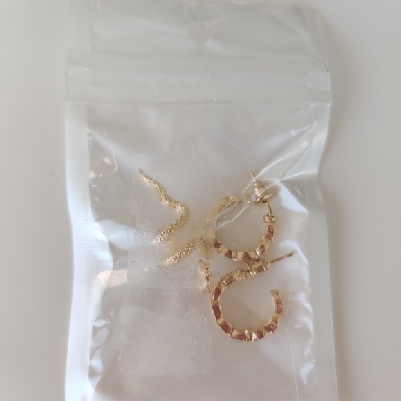 Snake and hoops earrings - or Free with pruchase - Picture 3 of 3